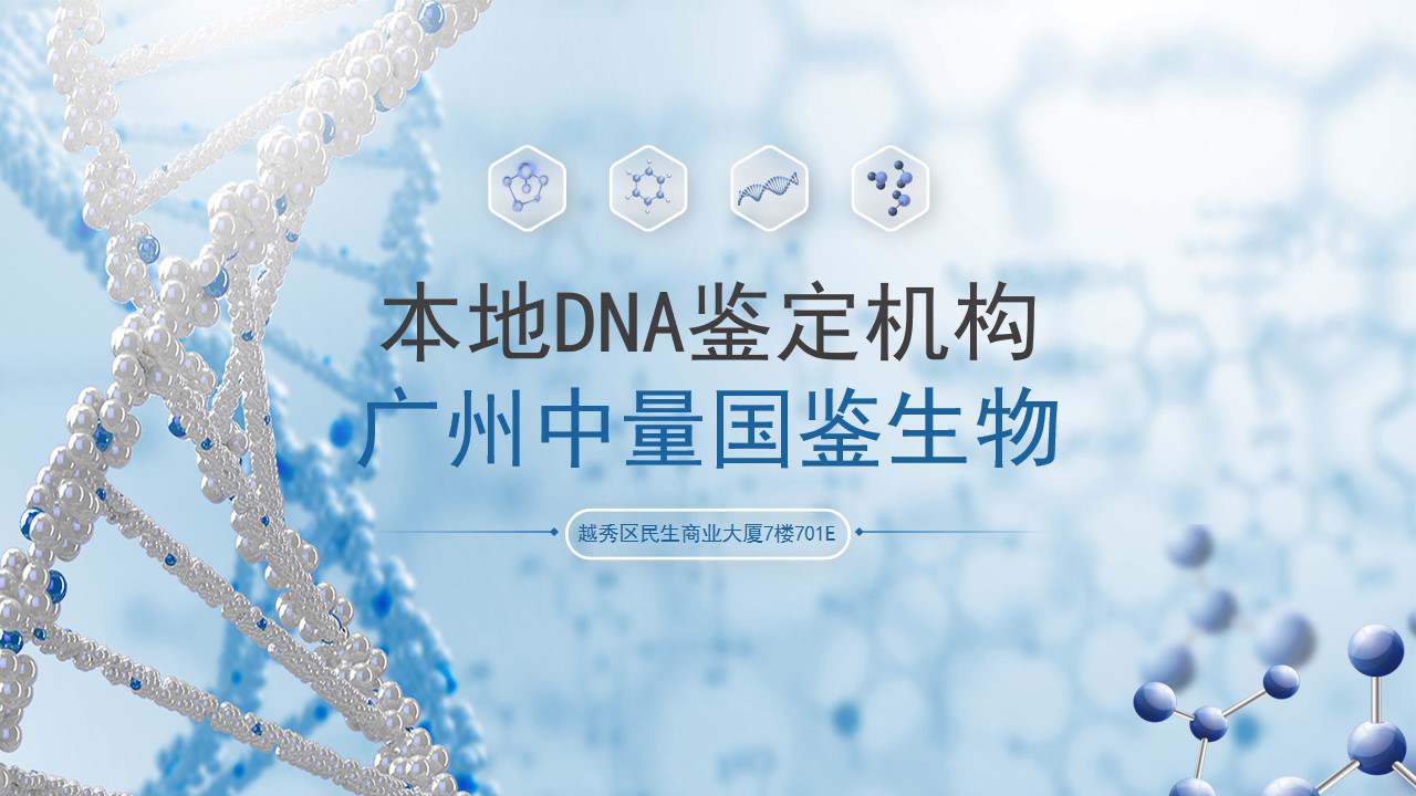 幻灯片13.jpg